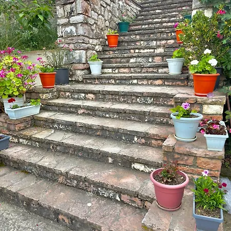 Kreku Apartment Sarandë